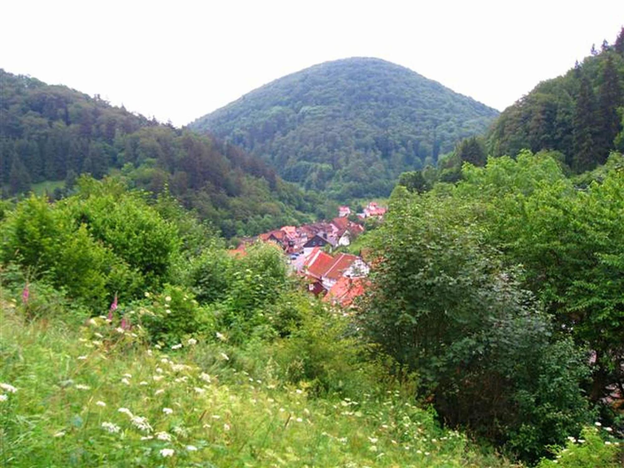 Spacious Group House In The Harz Region Zorge Extérieur photo